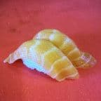 Best Salmon (Sake) Sushi / Sashimi in Boise, ID