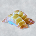 Best Salmon (Sake) Sushi / Sashimi in Boise, ID